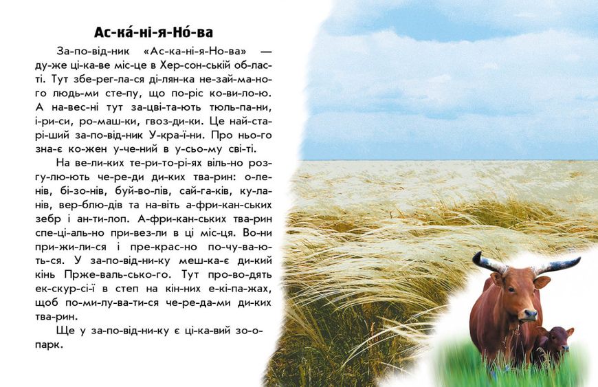 Набір книижок Ранок Читаю про Україну: "Парки та заповідники" та "Замки і фортеці", українською мовою 113014 фото