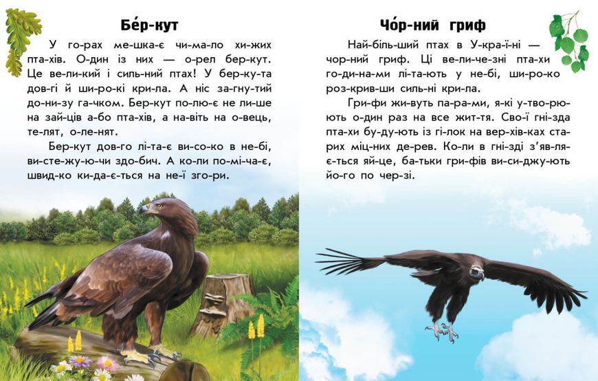 Набір книижок Ранок Читаю про Україну: Гори та печери та Тварини гір, українською мовою 113016 фото