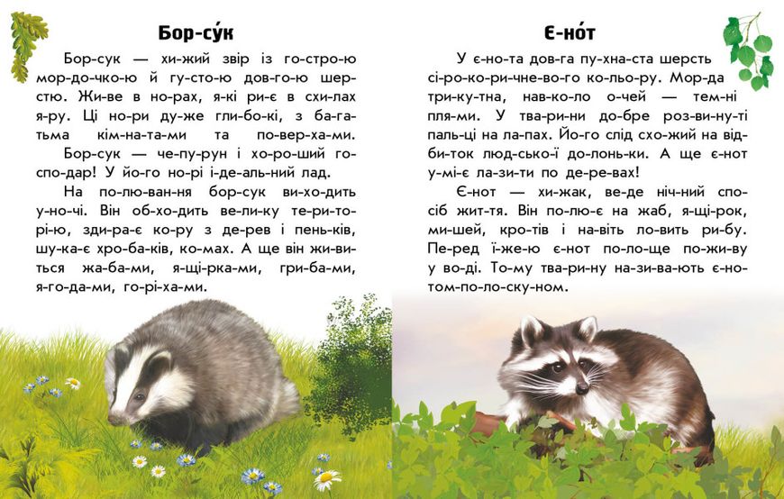 Набір книижок Ранок Читаю про Україну: Тварини гір та Тварини лісів, українською мовою 113017 фото