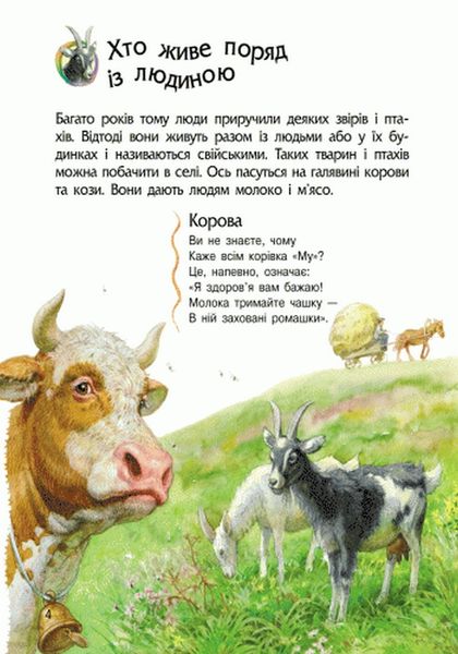 Набір книжок Ranok Creative Енциклопедія дошкільника: "Океани та моря" та "Тварини", українською мовою 113009 фото