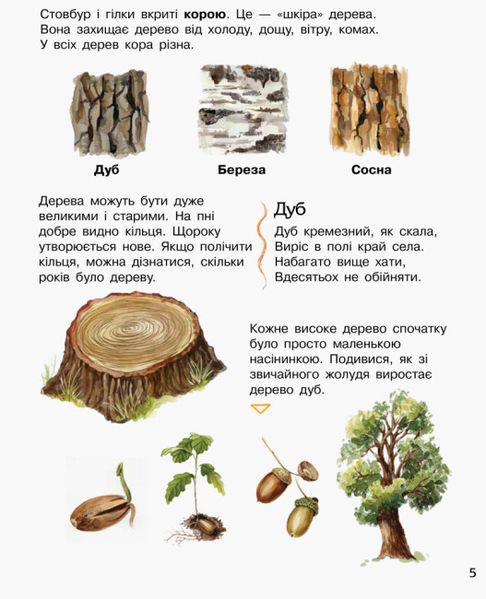 Набір книжок Ranok Creative "Енциклопедія дошкільника: Ліс" та "Природа", українською мовою 113010 фото