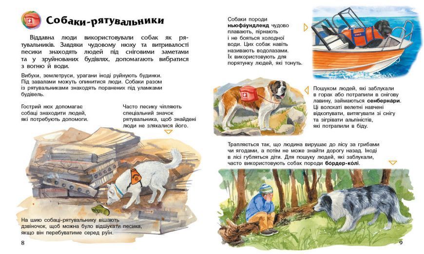 Энциклопедия дошкольника: Собаки 111366 фото