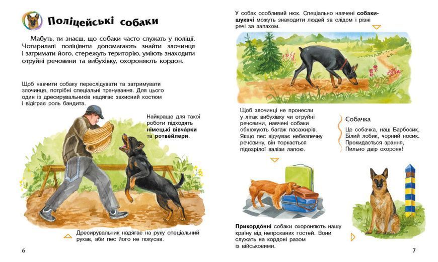 Энциклопедия дошкольника: Собаки 111366 фото