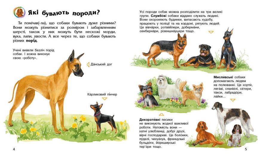 Энциклопедия дошкольника: Собаки 111366 фото