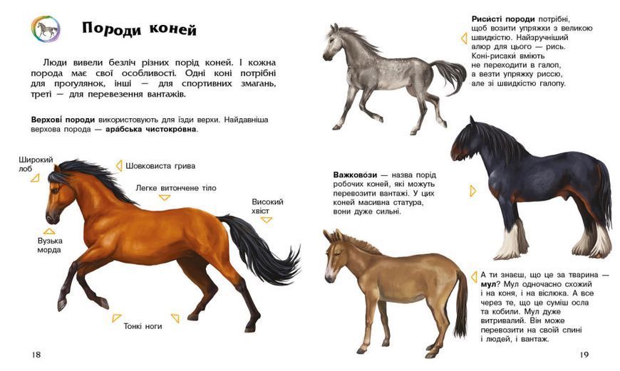 Набір книжок Ranok Creative "Енциклопедія дошкільника: Коні" та "Собаки", українською мовою 113011 фото