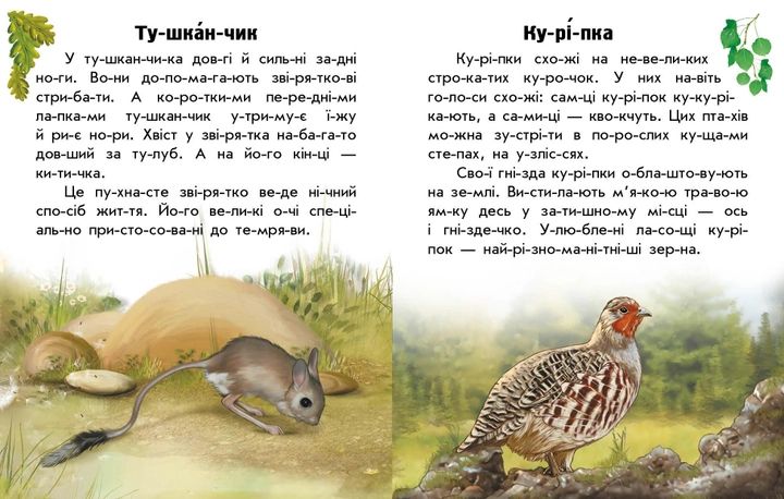 Набір книижок Ранок Читаю про Україну: Тварини річок та морів та Тварини степів, українською мовою 113018 фото