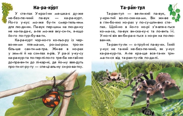 Набір книижок Ранок Читаю про Україну: Тварини річок та морів та Тварини степів, українською мовою 113018 фото