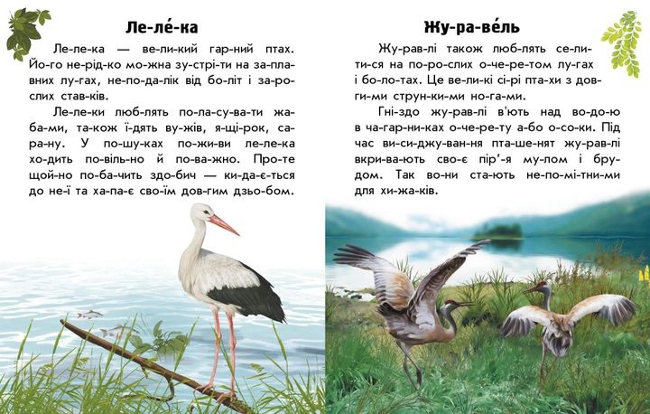 Набір книижок Ранок Читаю про Україну: Тварини річок та морів та Тварини степів, українською мовою 113018 фото